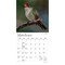 Plato; Hummingbirds | 2027 7 x 14 Inch (Hanging) Monthly Mini Wall Calendar | Foil Stamped Cover; Category:Wall Calendars; Image:4